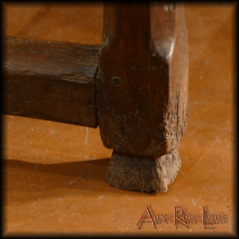 Foot on hoof
